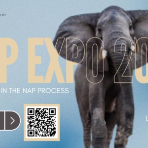 NAP Expo 2025