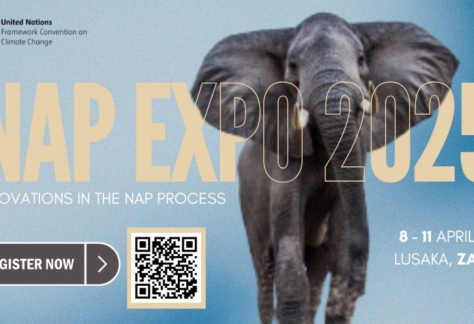 NAP Expo 2025