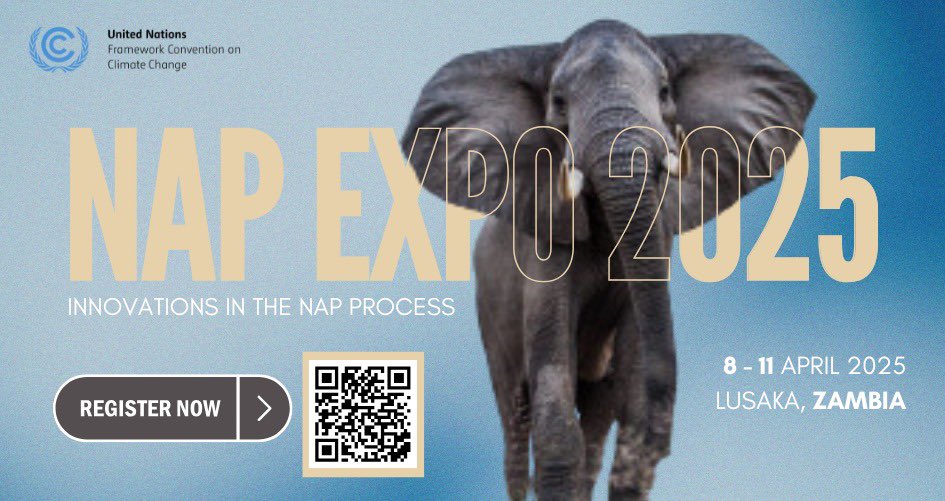 NAP Expo 2025