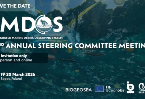 IMDOS Steering Committee