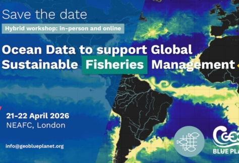 Ocean Observation and Prediction to support Global Sustainable Fisheries Management
