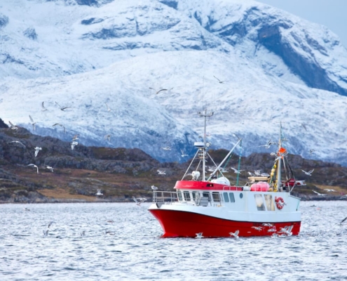 Ocean Observation data for smarter, sustainable fisheries management