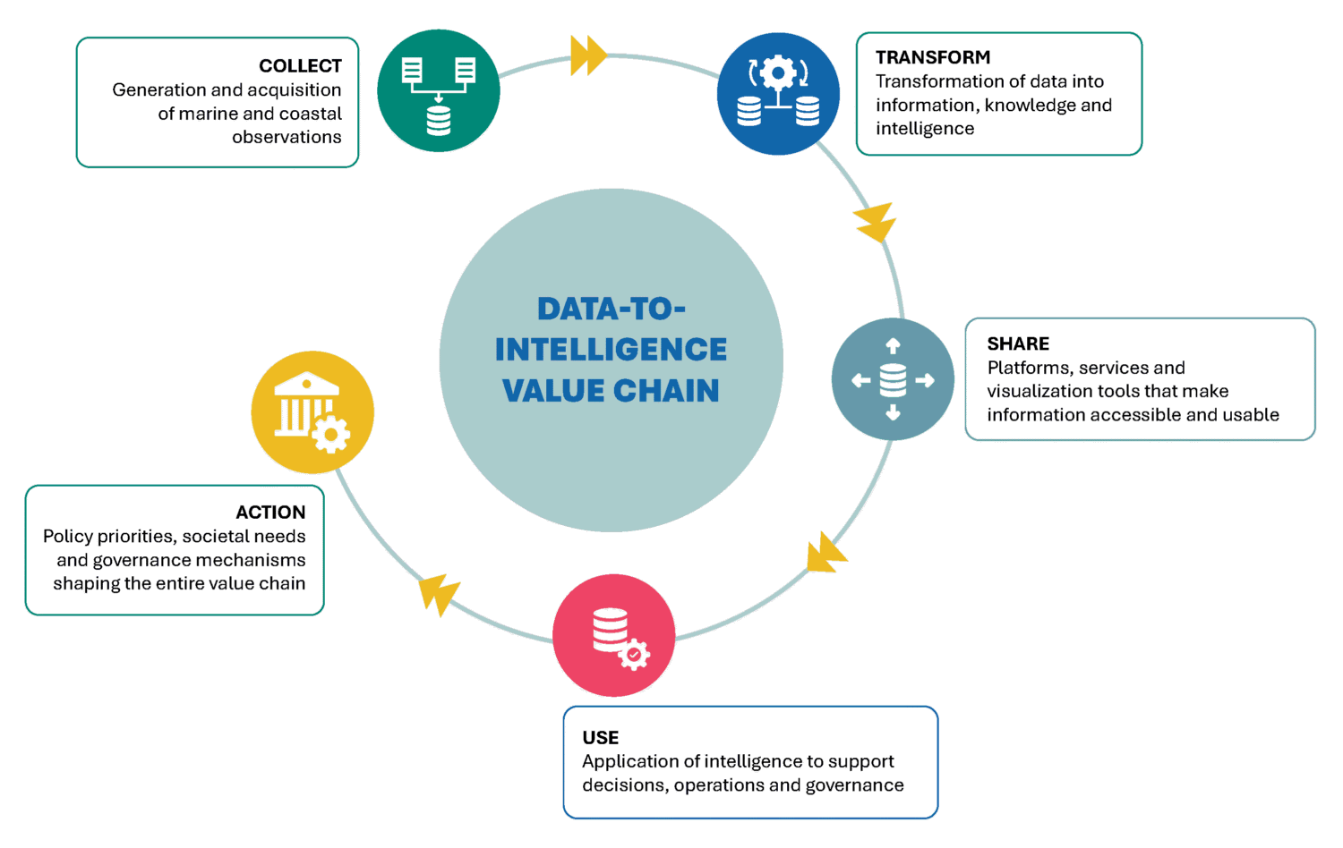 Data to intelligence value chain schema