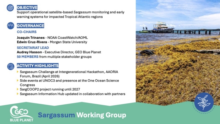 Sargassum PPT